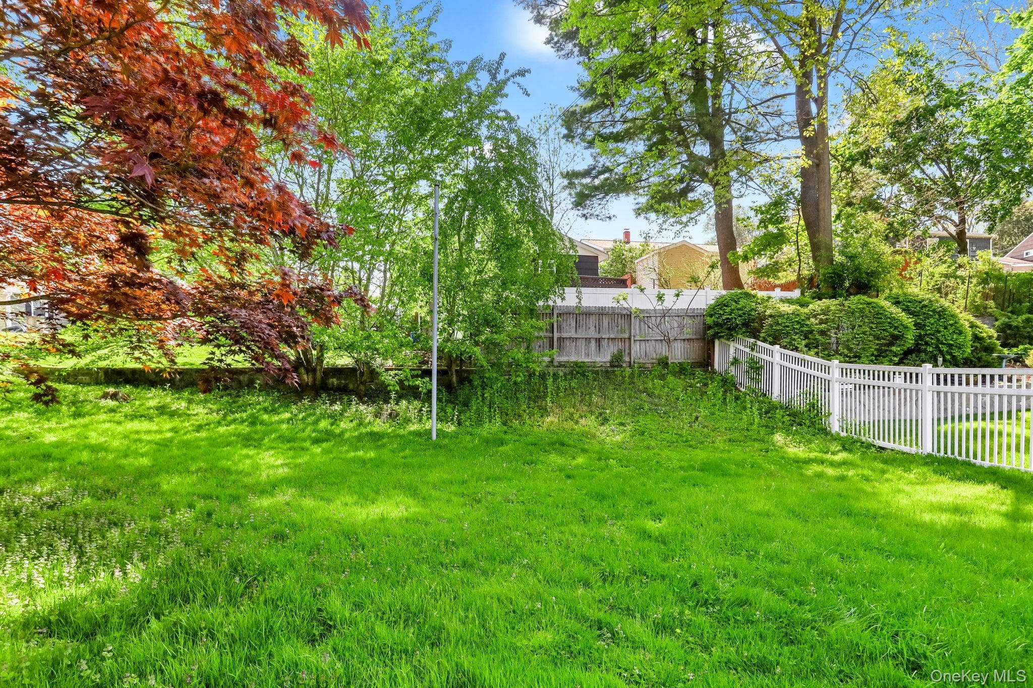 Yard