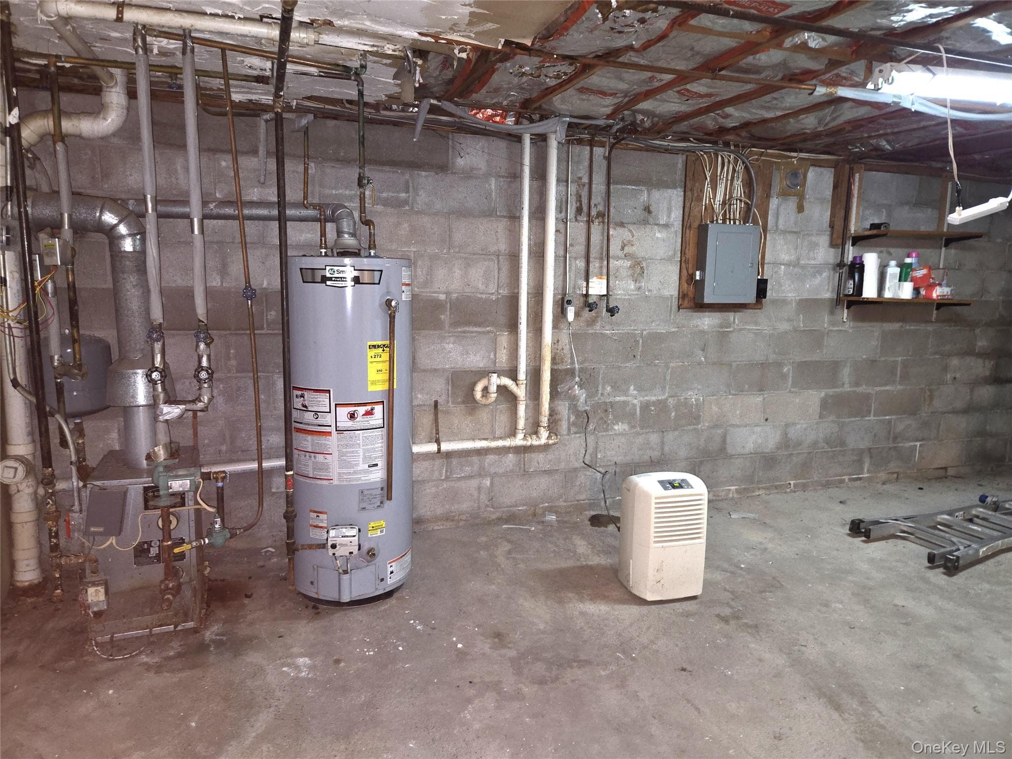 Basement