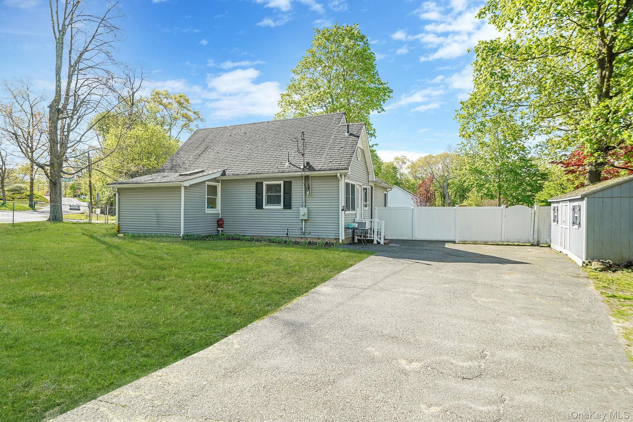 Photo 4