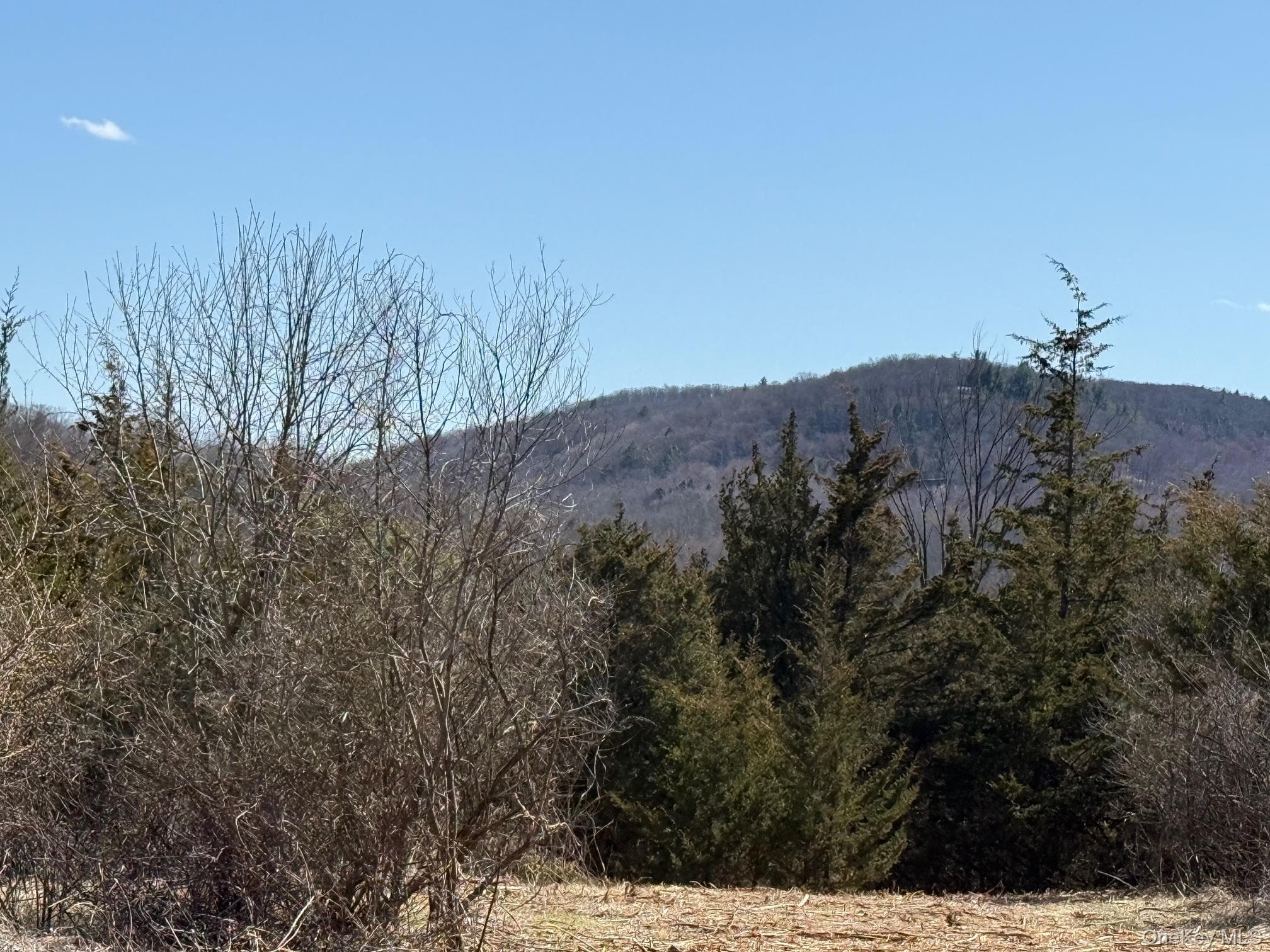 View