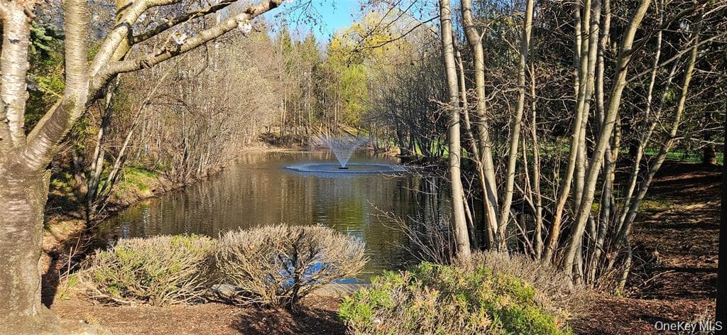 Pond
