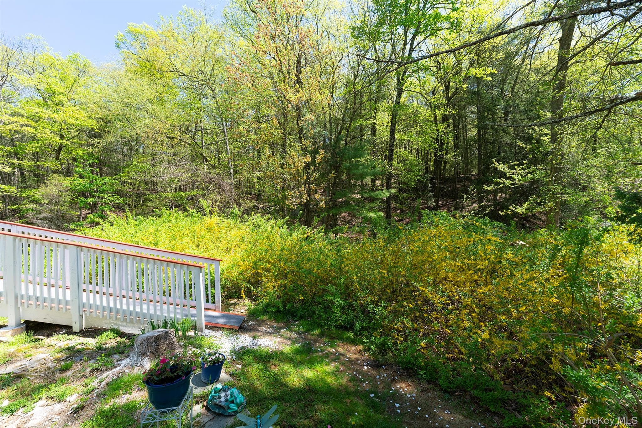 Yard