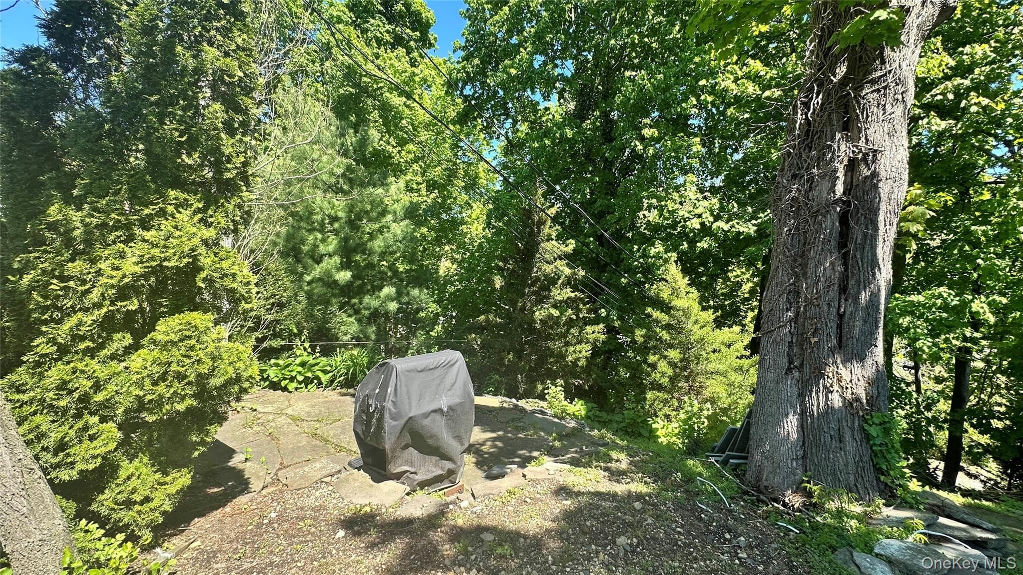 Yard