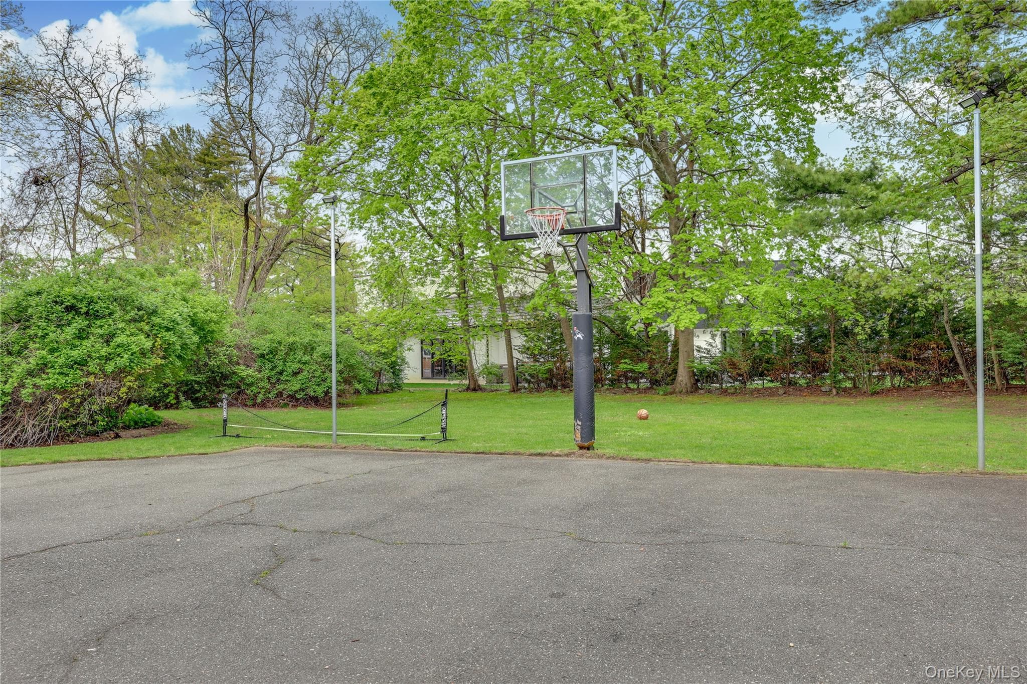 Basketball Court