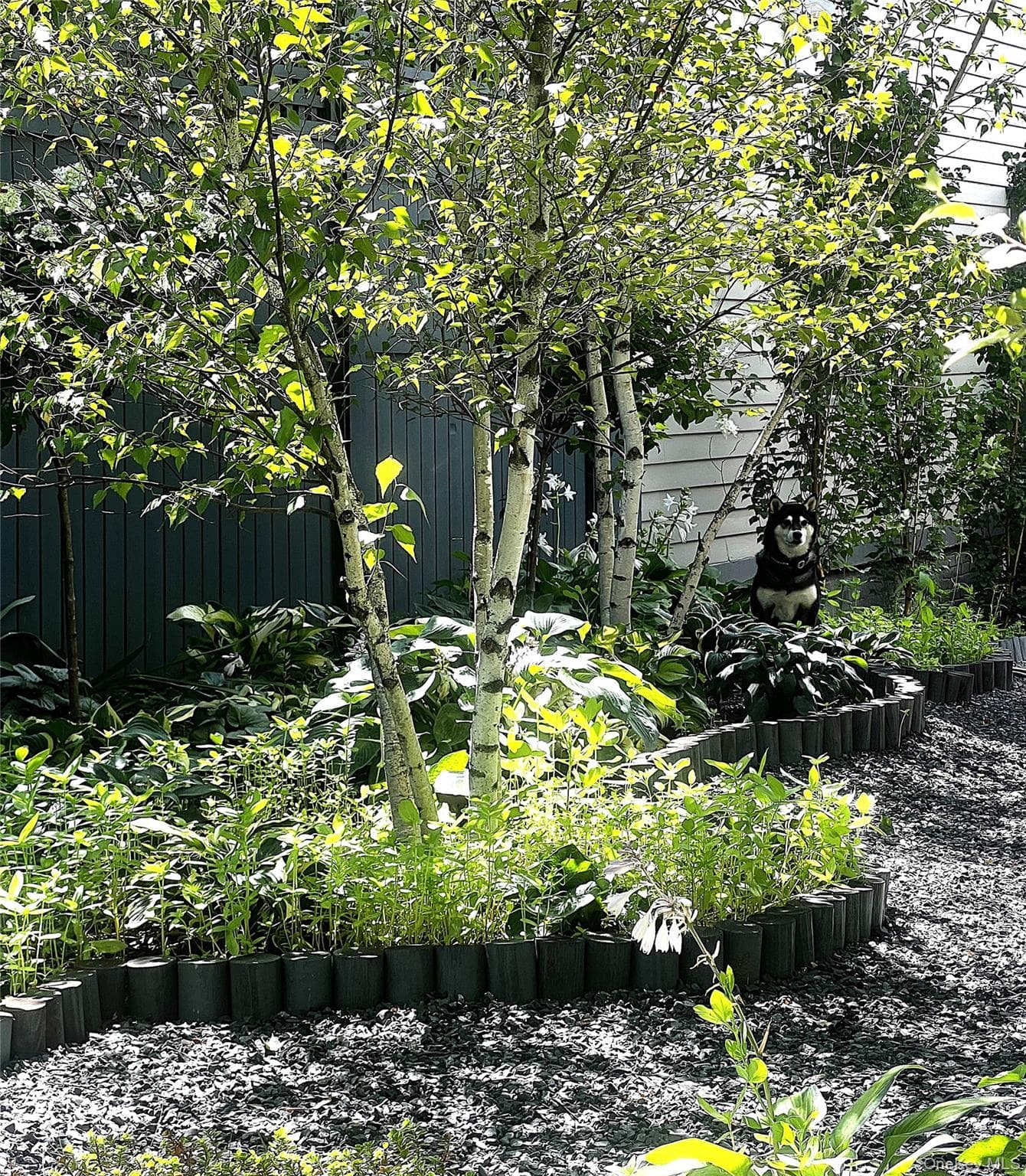 Photo 24