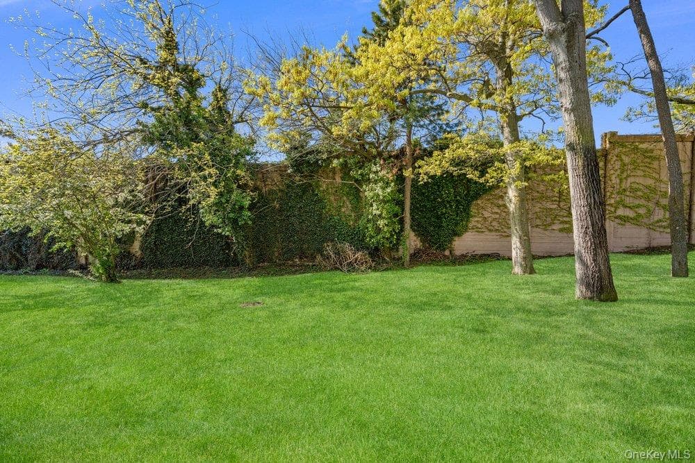 Yard