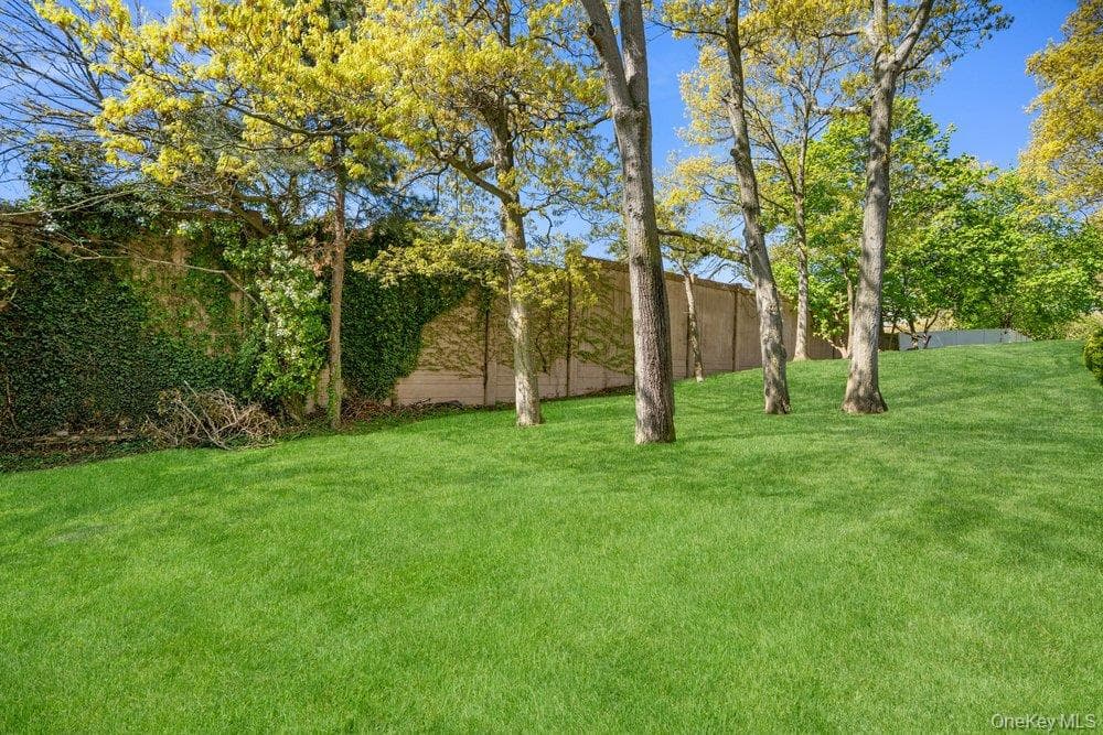 Yard