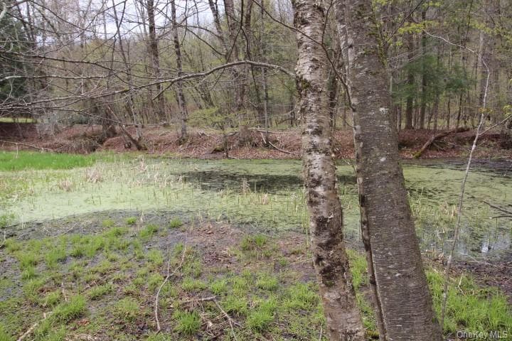 Pond