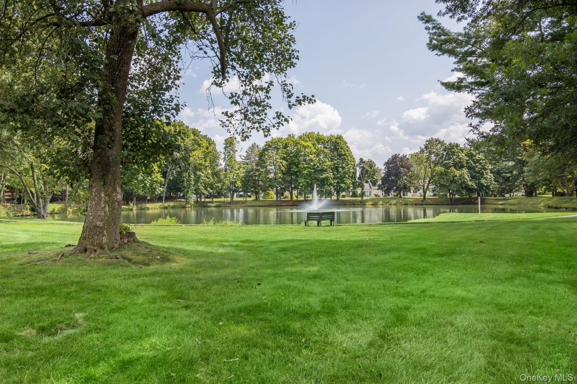 Pond