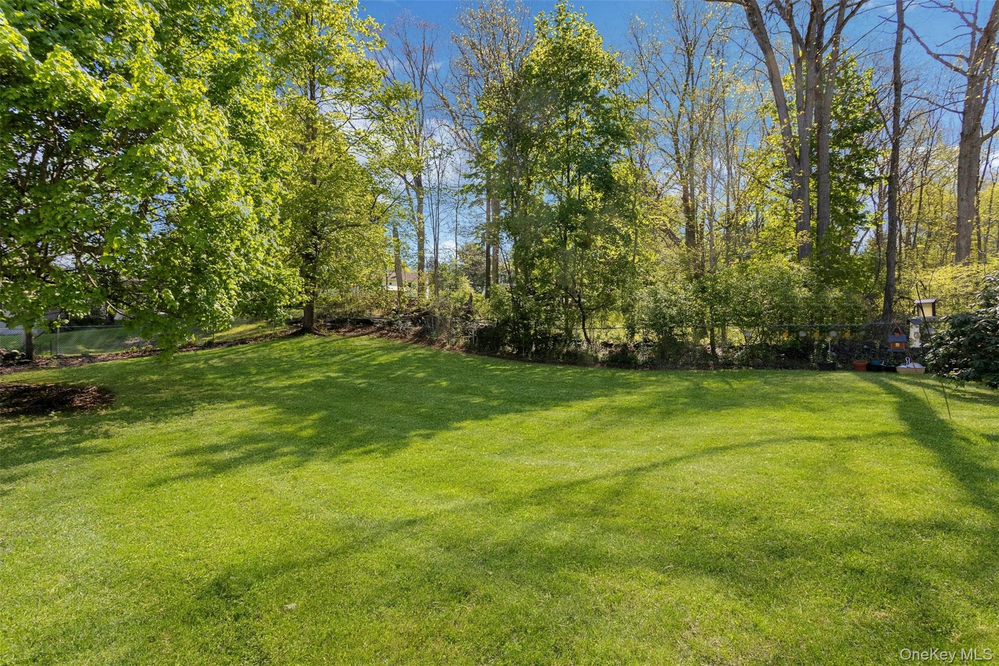 Yard