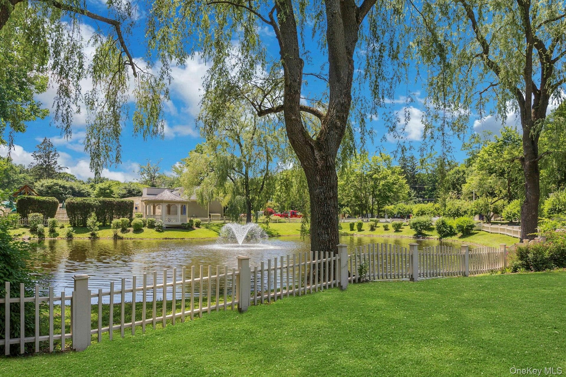 Pond