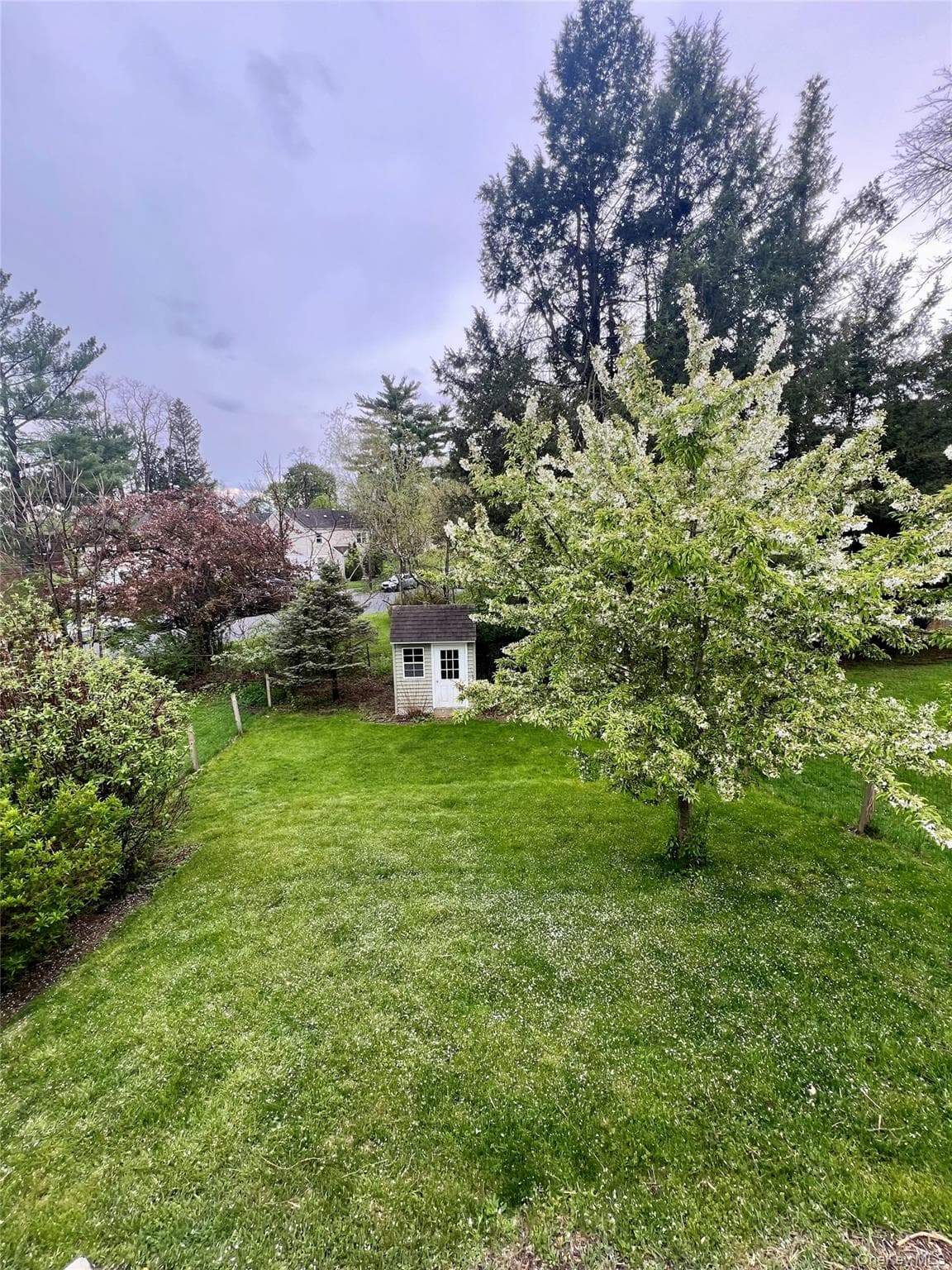 Yard