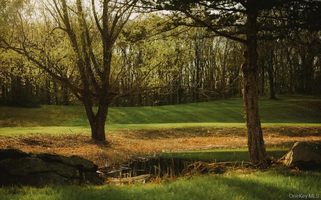 Pond