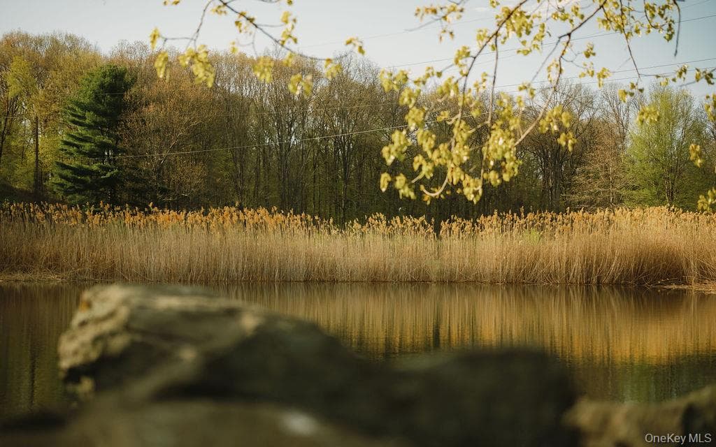 Pond