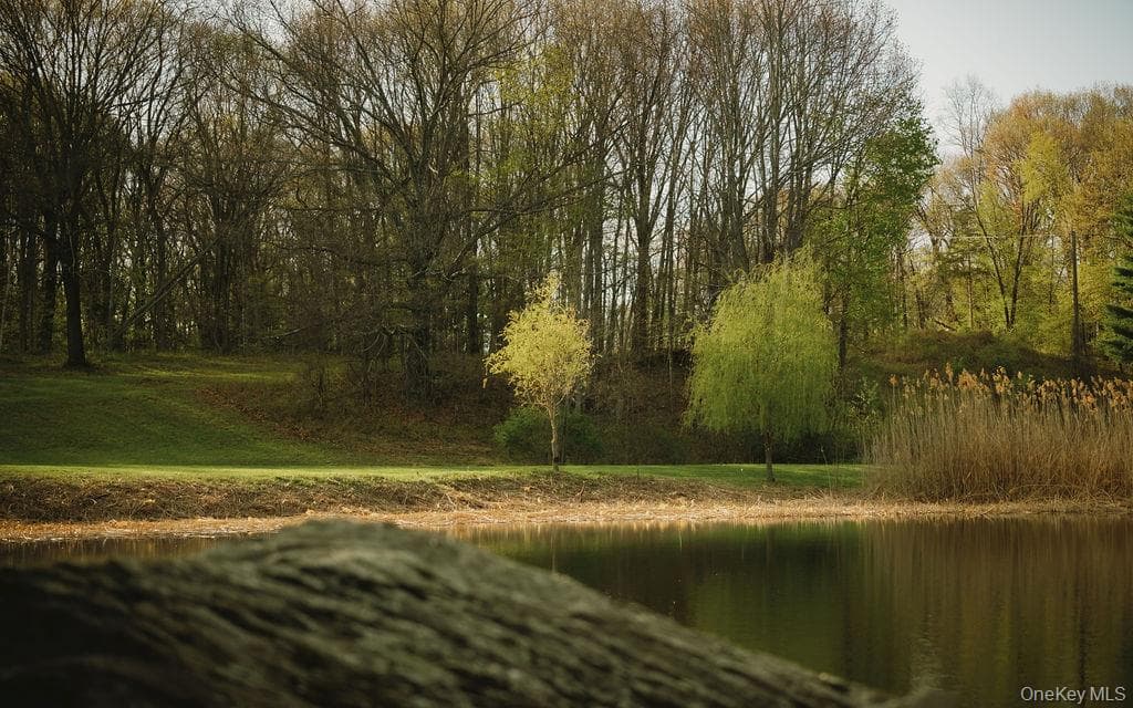 Pond