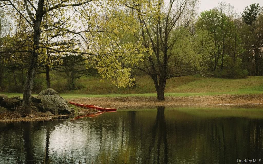 Pond