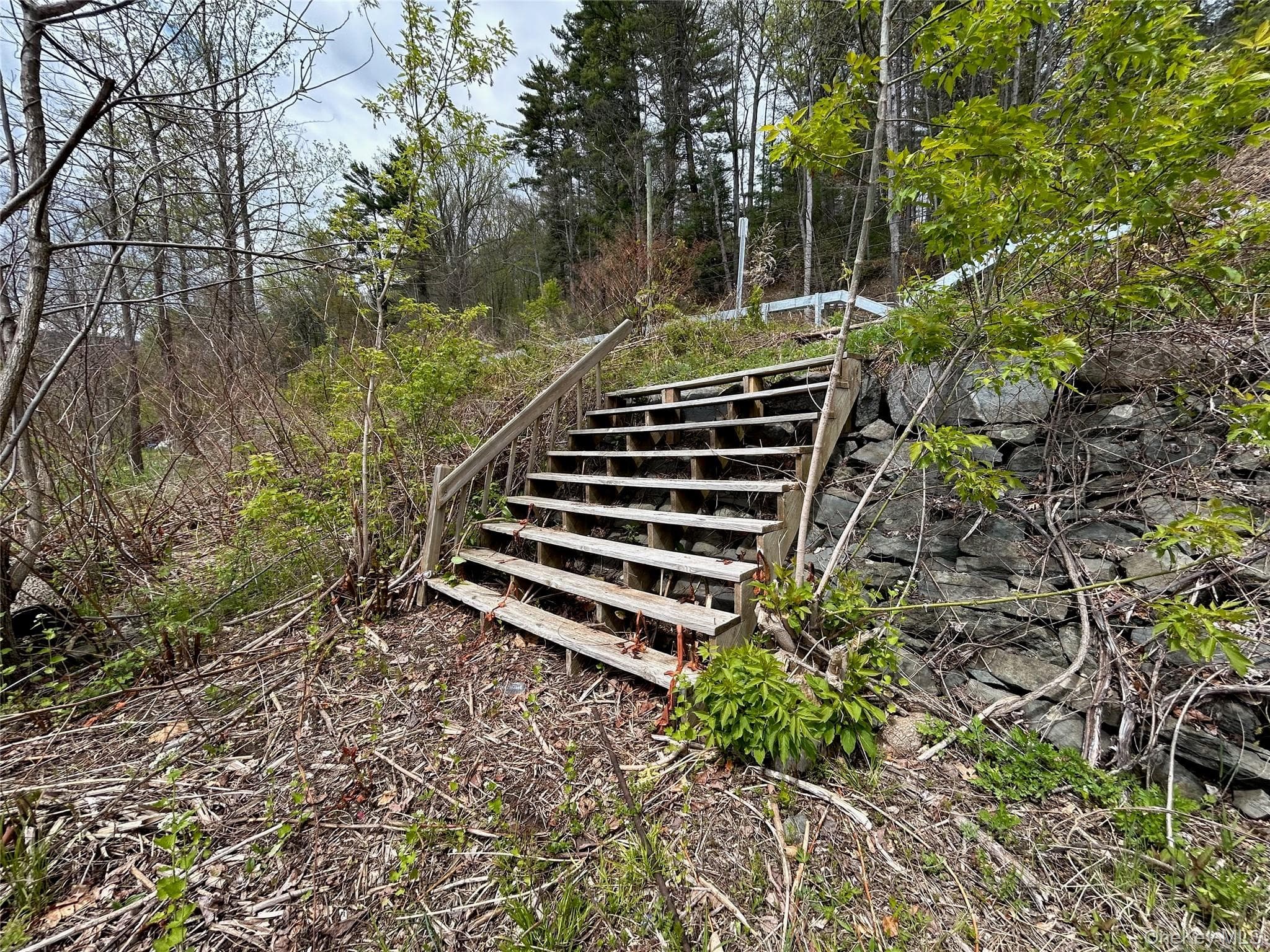 Photo 37