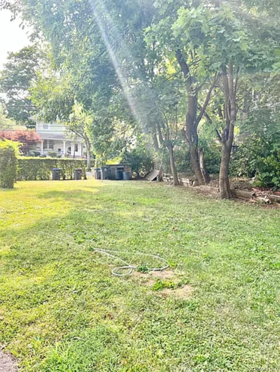 Yard