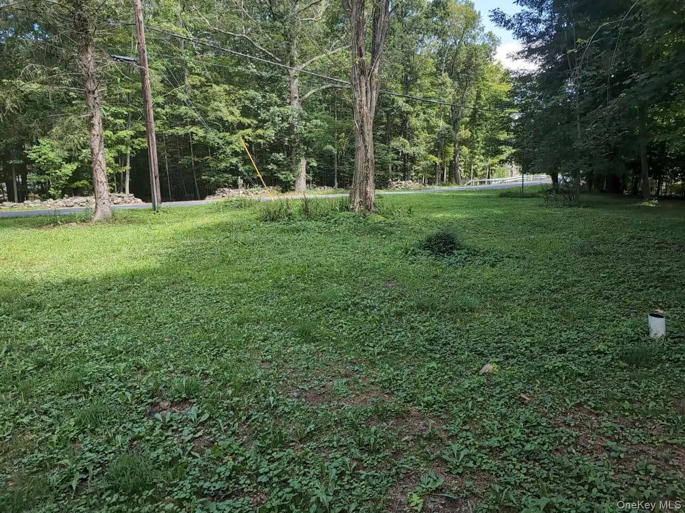 Photo 25