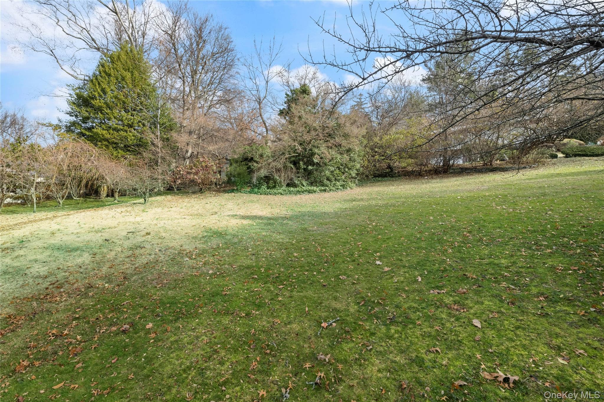 Yard